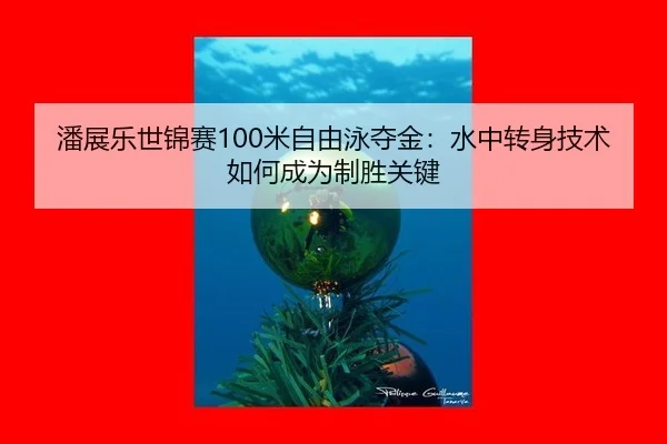pan-zhan-le-shi-jin-sai-mi-zi-you-yong-duo-jin-shui-zhong-zhuan-shen-ji-shu-ru-he-cheng-wei-zhi-sheng-guan-jian-3-105.jpg