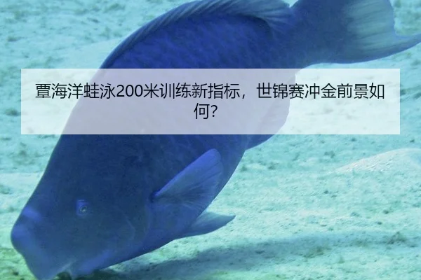 tan-hai-yang-wa-yong-mi-xun-lian-xin-zhi-biao-shi-jin-sai-chong-jin-qian-jing-ru-he-2-210.jpg