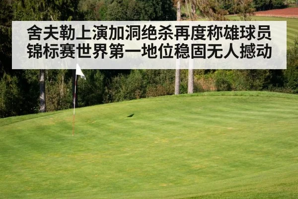 舍夫勒上演加洞绝杀再度称雄球员锦标赛世界第一地位稳固无人撼动
